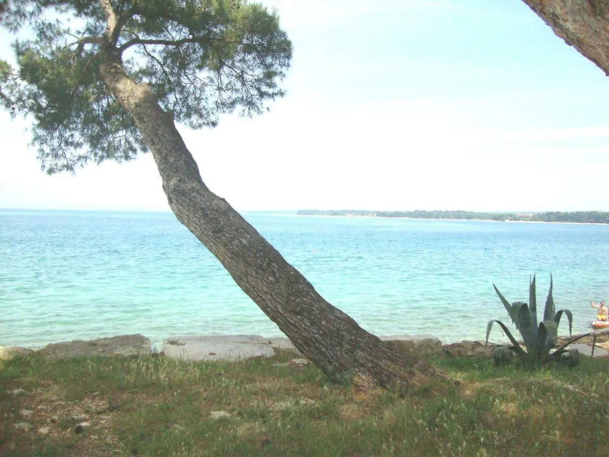 Apartment Mirta Pula