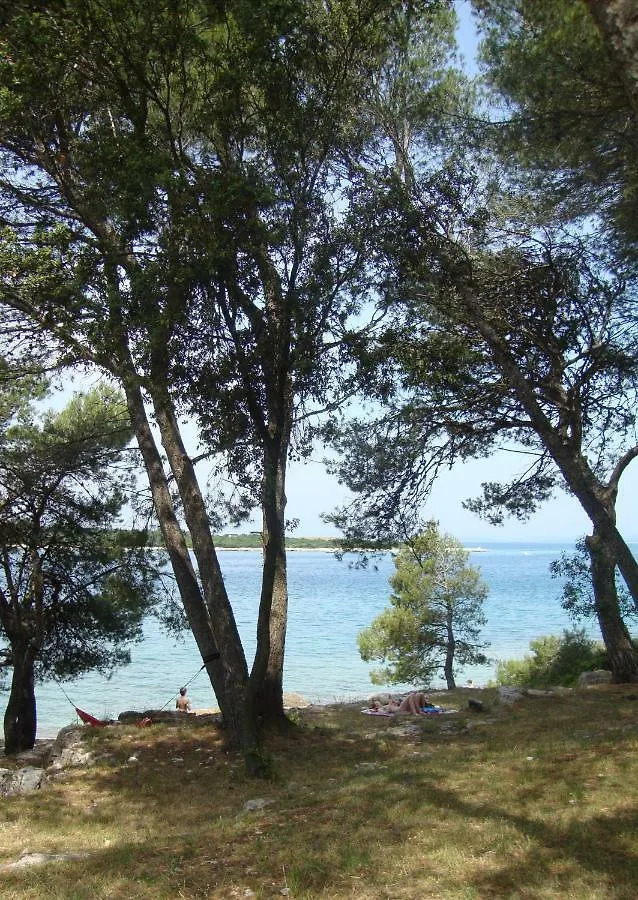 Apartment Mirta Pula 0*,