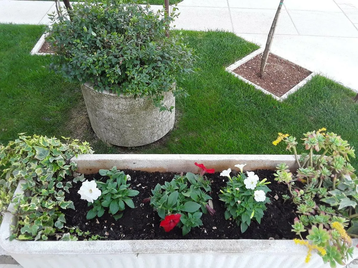 Apartment Mirta Pula 0*,  Croatia